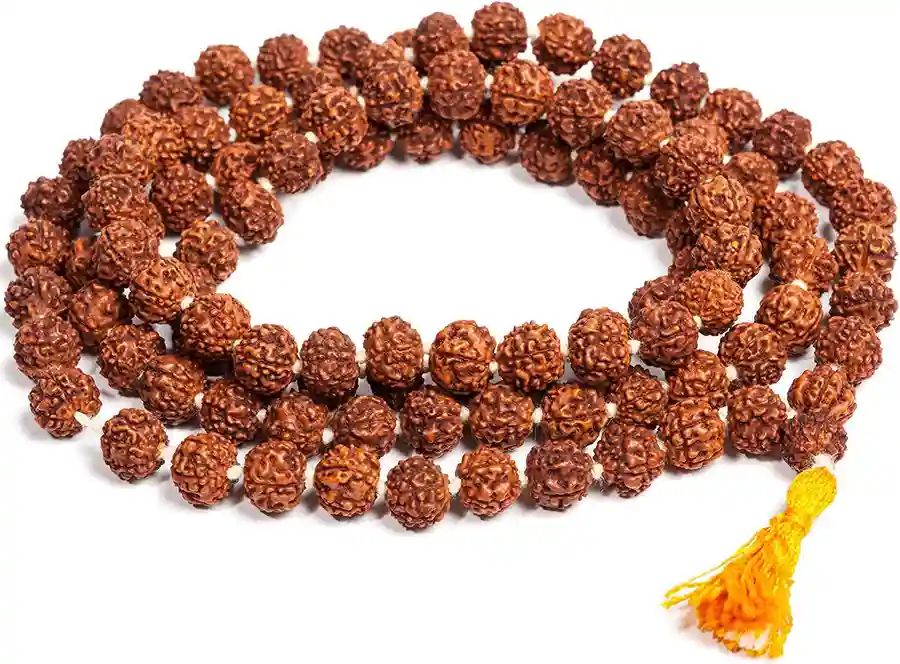 रुद्राक्ष माला अर्पणUtsav Kriya Image