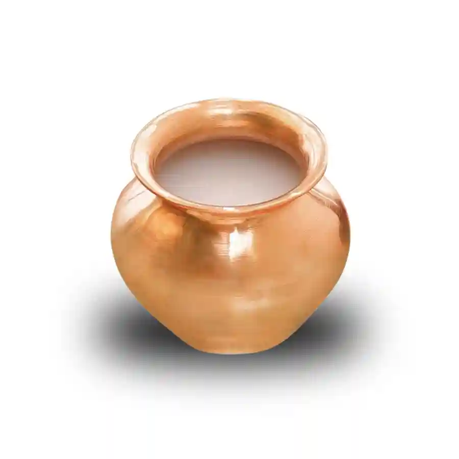 Dudh AbhishekUtsav Kriya Image