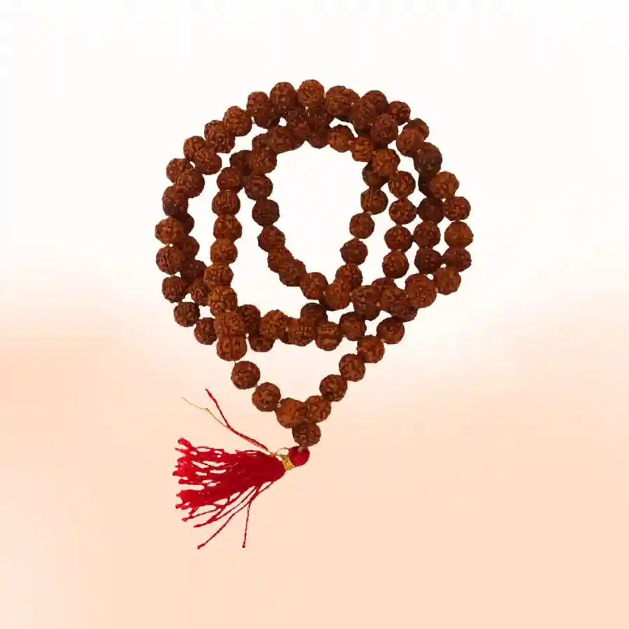रुद्राक्ष माला अर्पणUtsav Kriya Image