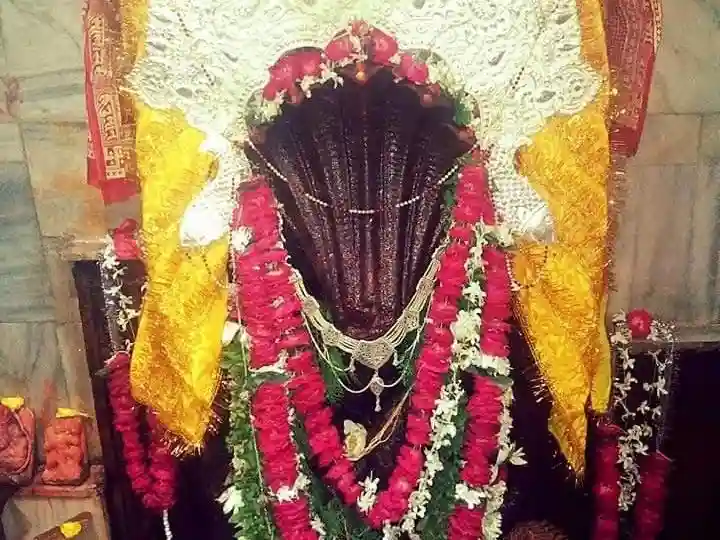 नागवासुकी मंदिर प्रयागराज राहु शांति विशेष पूजा image