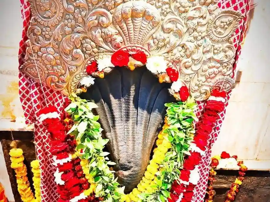 कालसर्प दोष निवारण के लिए नागवासुकि मंदिर प्रयागराज साप्ताहिक दूध कला दान सेवा image