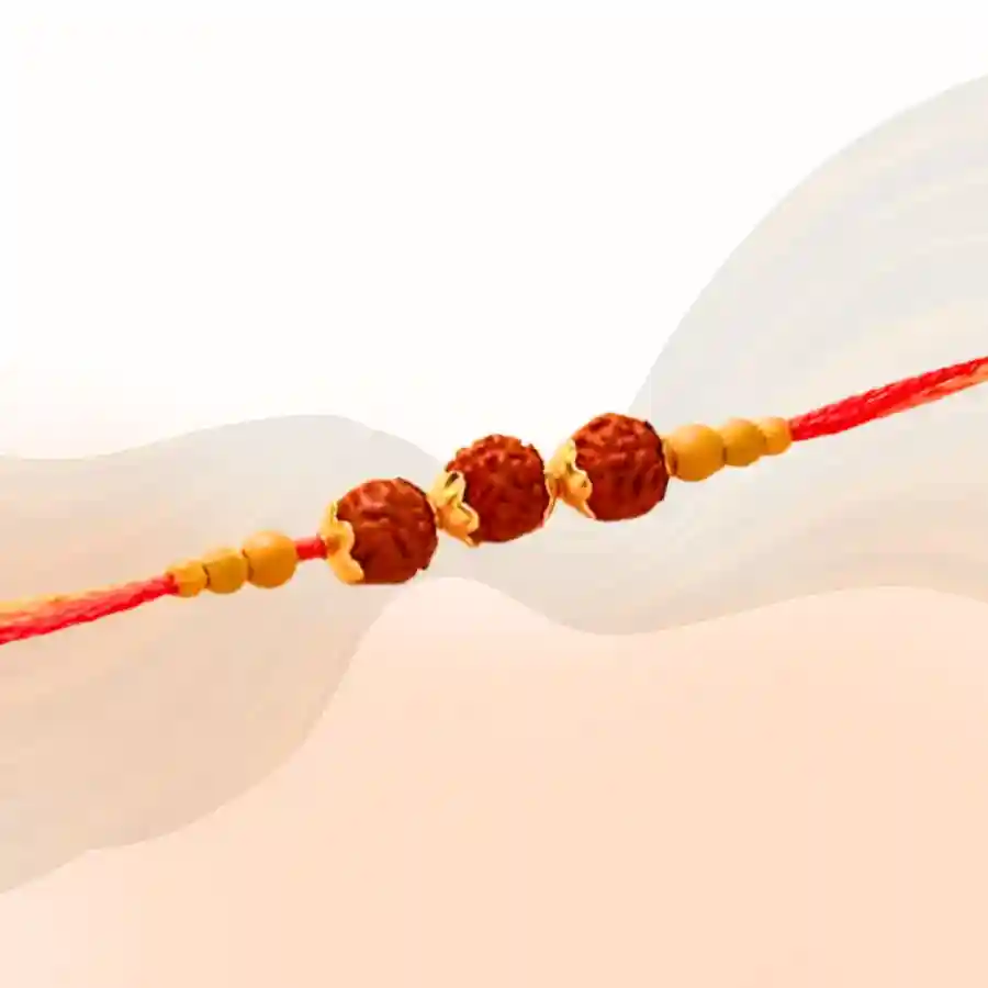 Energized Rudraksh RakhiUtsav Kriya Image