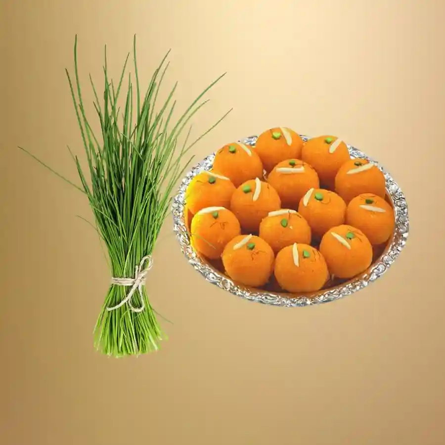 लड्डू और दूर्वा दानUtsav Kriya Image