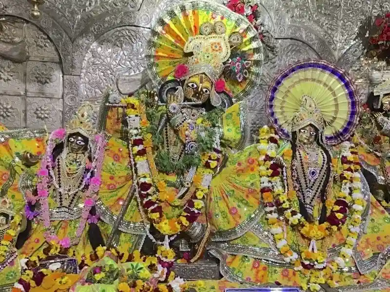 राधा दामोदर मंदिर वृन्दावन विशेष दान सेवा image