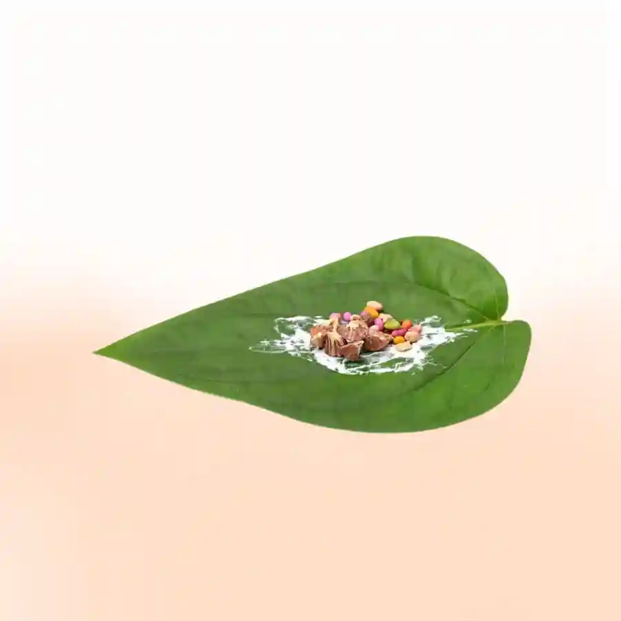 सुपारी और पान दानUtsav Kriya Image