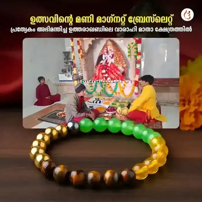 ഊർജ്ജസ്വലമാക്കിയ മണി മാഗ്നറ്റ് ബ്രേസ്ലെറ്റ് (ടൈഗർ ഐ + പൈറൈറ്റ് + ഗ്രീൻ അവഞ്ചുറിൻ + സിട്രൈൻ മുത്തുകൾ) - image 10
