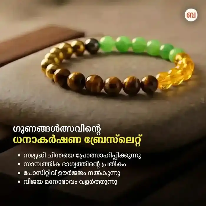 ഊർജ്ജസ്വലമാക്കിയ മണി മാഗ്നറ്റ് ബ്രേസ്ലെറ്റ് (ടൈഗർ ഐ + പൈറൈറ്റ് + ഗ്രീൻ അവഞ്ചുറിൻ + സിട്രൈൻ മുത്തുകൾ) - image 13