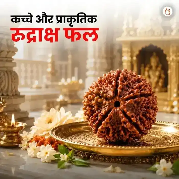 अभिमंत्रित 5 मुखी रुद्राक्ष ब्रेसलेट (असली नेपाली रुद्राक्ष मनके) - image 2
