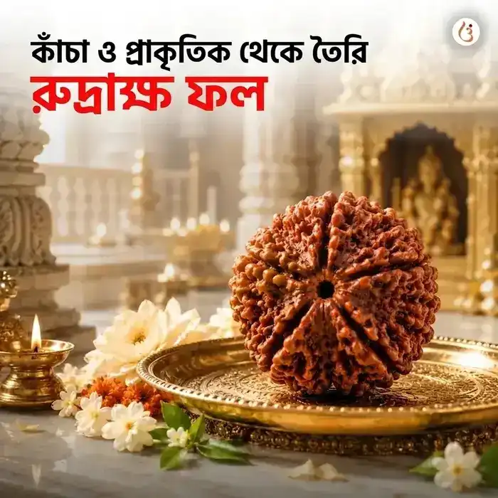 অভিমন্ত্রিত ৫ মুখী রুদ্রাক্ষ ব্রেসলেট (আসল নেপালি রুদ্রাক্ষের দানা) - image 2