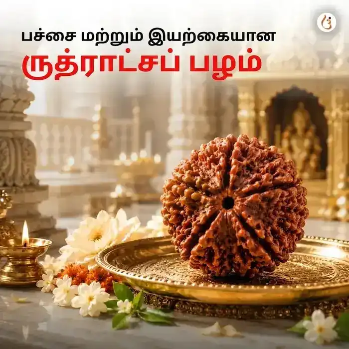 சக்திவாய்ந்த 5 முகி ருத்ராட்ச பிரேஸ்லெட் (அசல் நேபாளி ருத்ராட்ச மணிகள்) - image 2