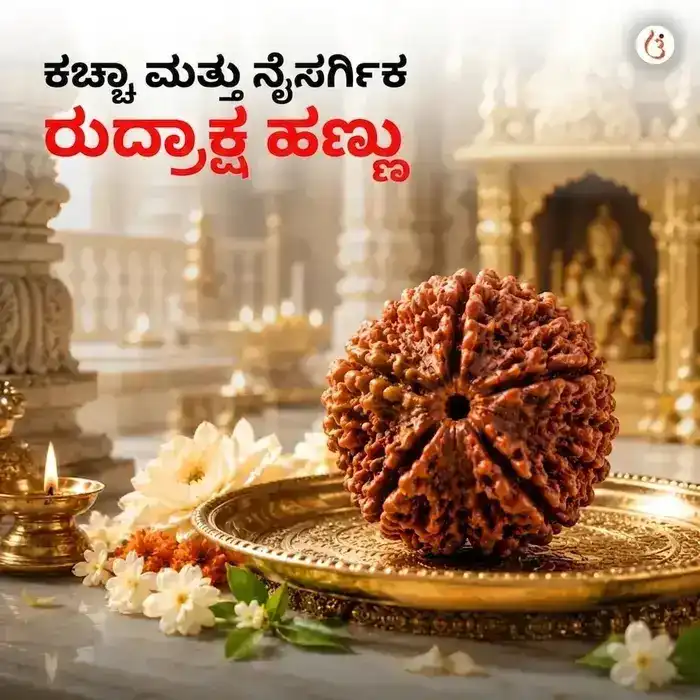 ಶಕ್ತಿ ತುಂಬಿದ 5 ಮುಖಿ ರುದ್ರಾಕ್ಷಿ ಬ್ರೇಸ್ಲೆಟ್ (ಅಸಲಿ ನೇಪಾಳಿ ರುದ್ರಾಕ್ಷಿ ಮಣಿಗಳು) - image 2
