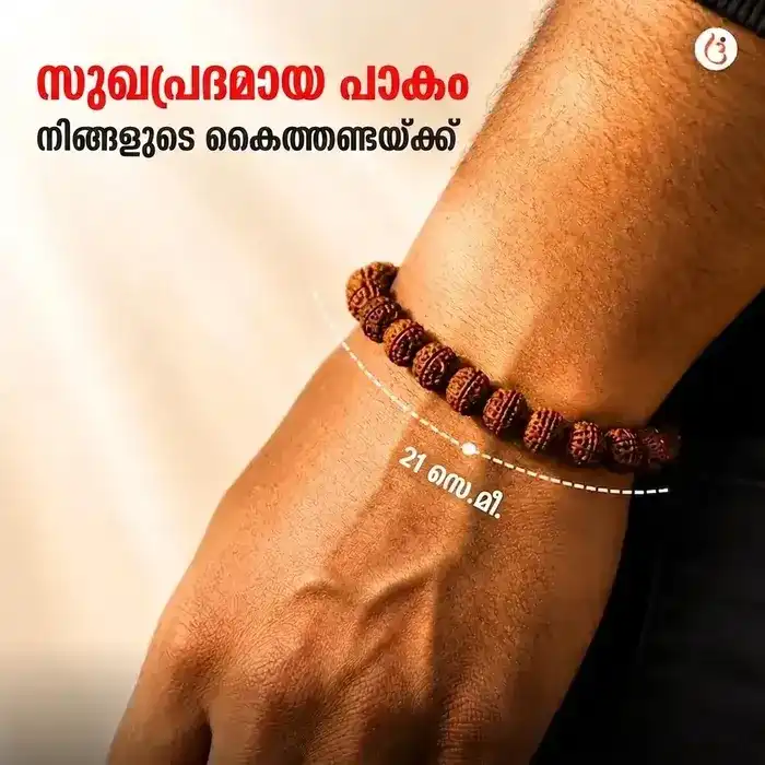 ഊർജ്ജസ്വലമാക്കിയ 5 മുഖി രുദ്രാക്ഷ ബ്രേസ്ലെറ്റ് (യഥാർത്ഥ നേപ്പാളി രുദ്രാക്ഷ മുത്തുകൾ) - image 3