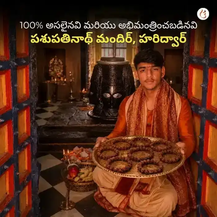శక్తివంతమైన 5 ముఖి రుద్రాక్ష బ్రాస్‌లెట్ (అసలైన నేపాలీ రుద్రాక్ష పూసలు) - image 5