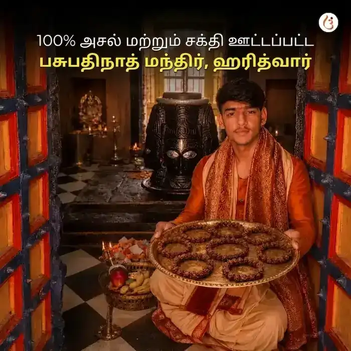 சக்திவாய்ந்த 5 முகி ருத்ராட்ச பிரேஸ்லெட் (அசல் நேபாளி ருத்ராட்ச மணிகள்) - image 5