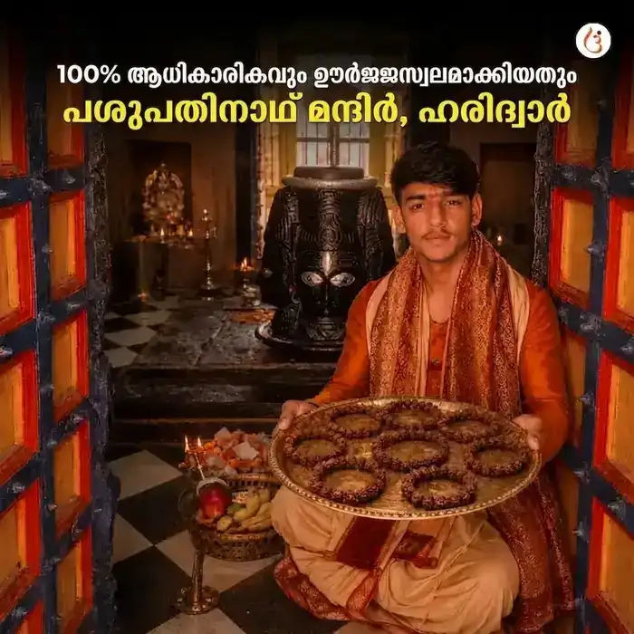 ഊർജ്ജസ്വലമാക്കിയ 5 മുഖി രുദ്രാക്ഷ ബ്രേസ്ലെറ്റ് (യഥാർത്ഥ നേപ്പാളി രുദ്രാക്ഷ മുത്തുകൾ) - image 5