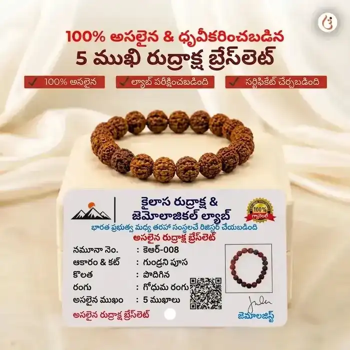 శక్తివంతమైన 5 ముఖి రుద్రాక్ష బ్రాస్‌లెట్ (అసలైన నేపాలీ రుద్రాక్ష పూసలు) - image 6