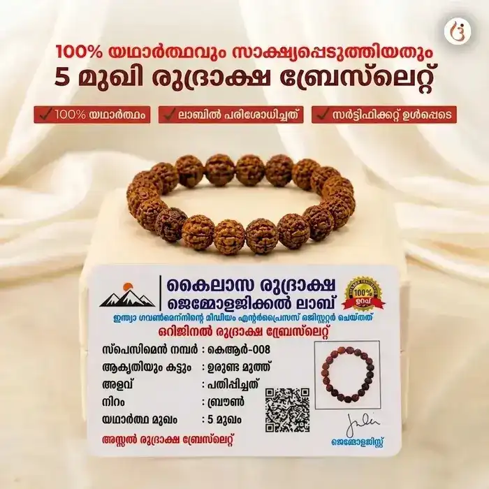 ഊർജ്ജസ്വലമാക്കിയ 5 മുഖി രുദ്രാക്ഷ ബ്രേസ്ലെറ്റ് (യഥാർത്ഥ നേപ്പാളി രുദ്രാക്ഷ മുത്തുകൾ) - image 6
