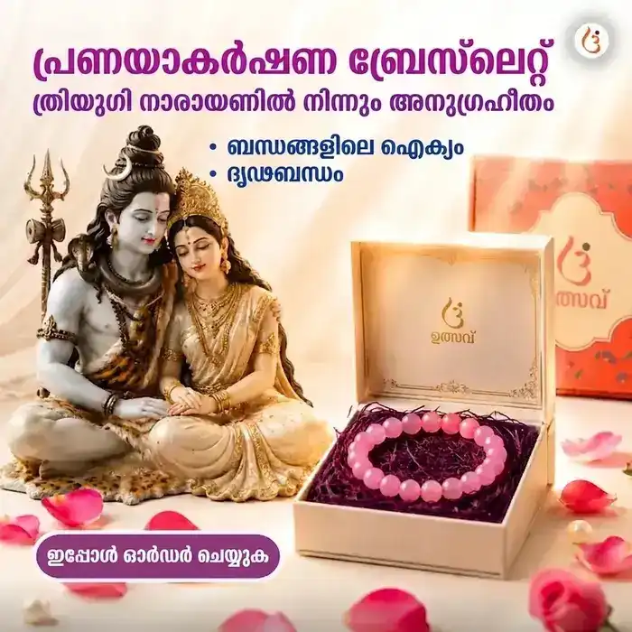 ഊർജ്ജസ്വലമാക്കിയ പ്രണയാകർഷണ ബ്രേസ്ലെറ്റ് - image 1