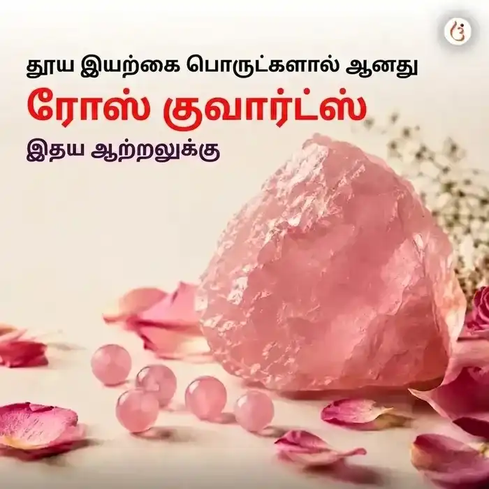 சக்தியூட்டப்பட்ட காதல் ஈர்ப்பு காப்பு - image 2