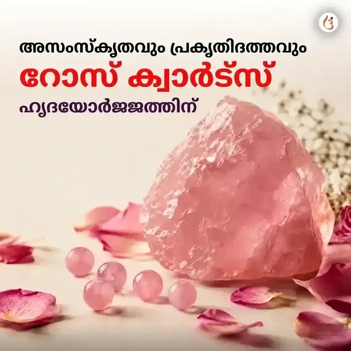 ഊർജ്ജസ്വലമാക്കിയ പ്രണയാകർഷണ ബ്രേസ്ലെറ്റ് - image 2