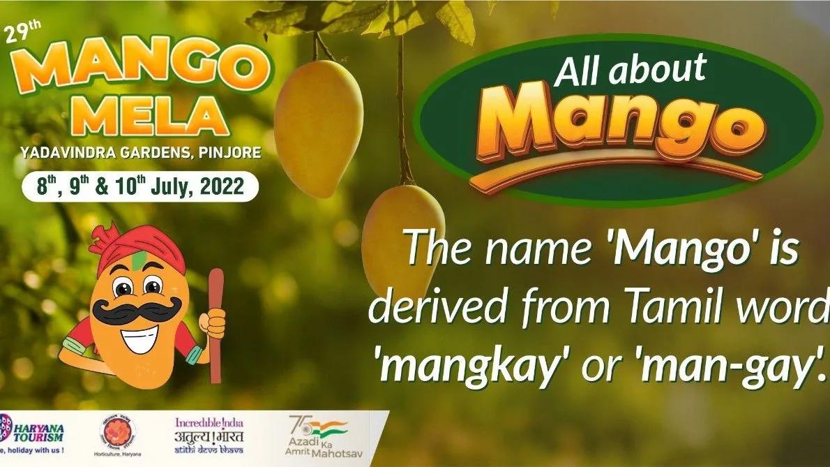 Mango Mela-cover