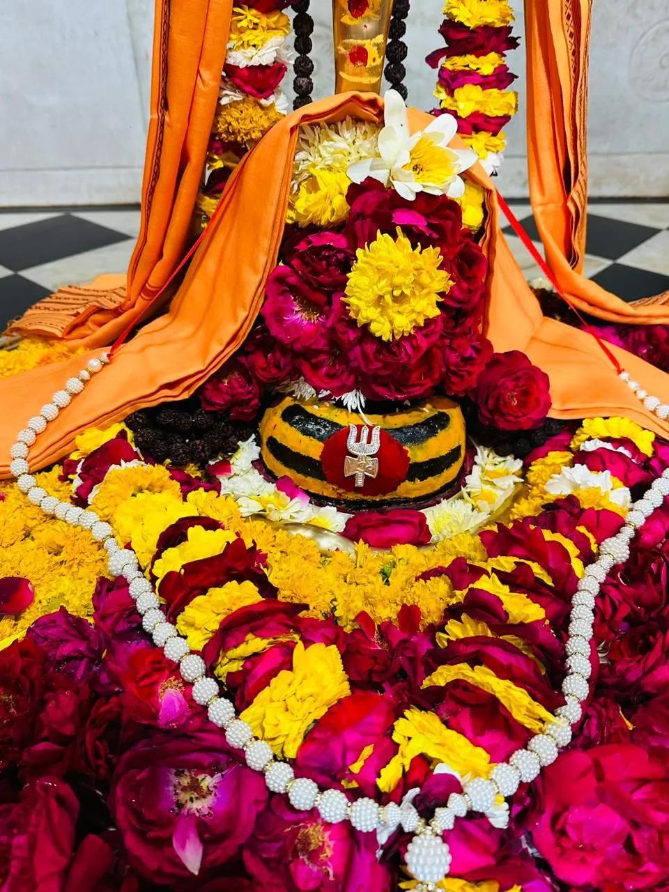 Manglik Dosh Nivaran Puja Utsav Kriya Image