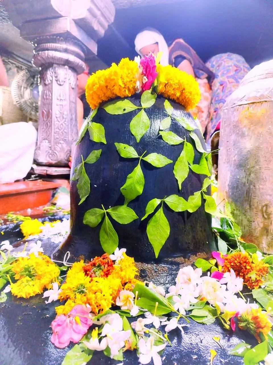 Sampurna Rudra Abhishek Aur Bhog ArpanUtsav Kriya Image