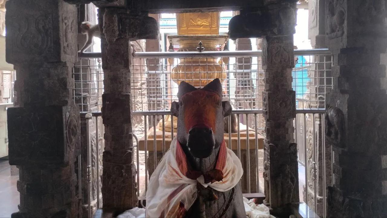 Arulmigu Thiru Arthanareeswarar Temple-cover