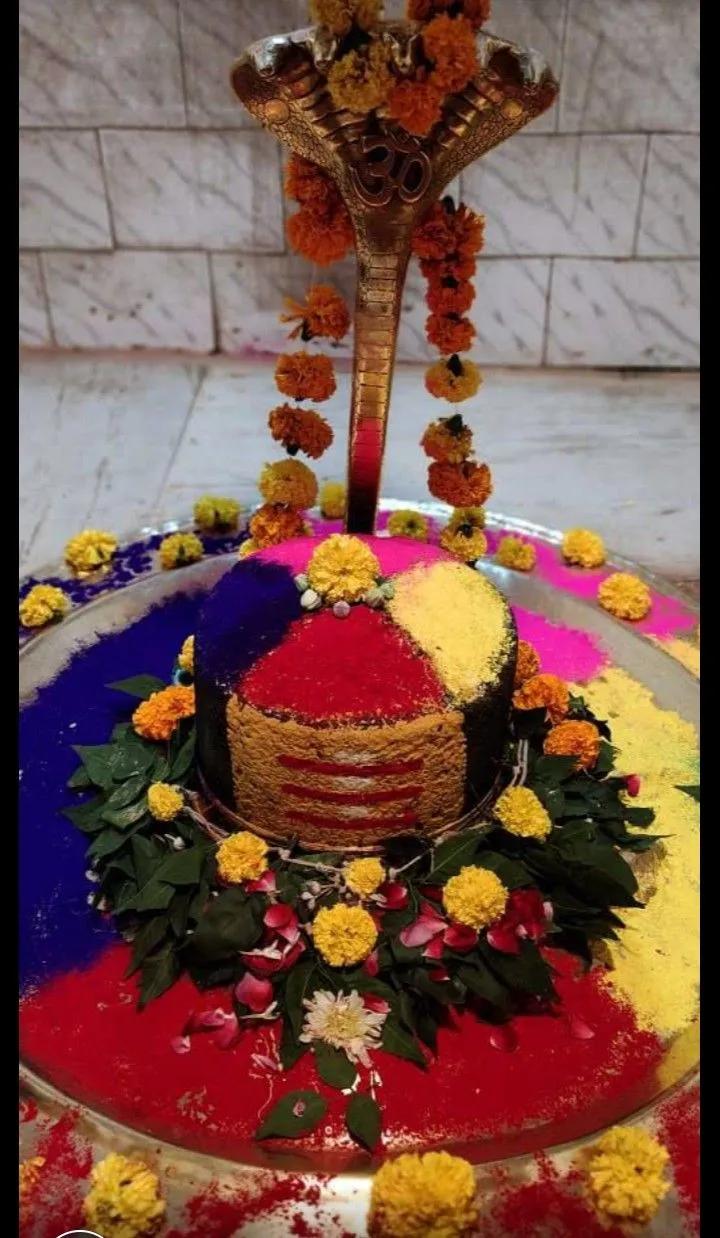 Rudra Abhishek PujanUtsav Kriya Image