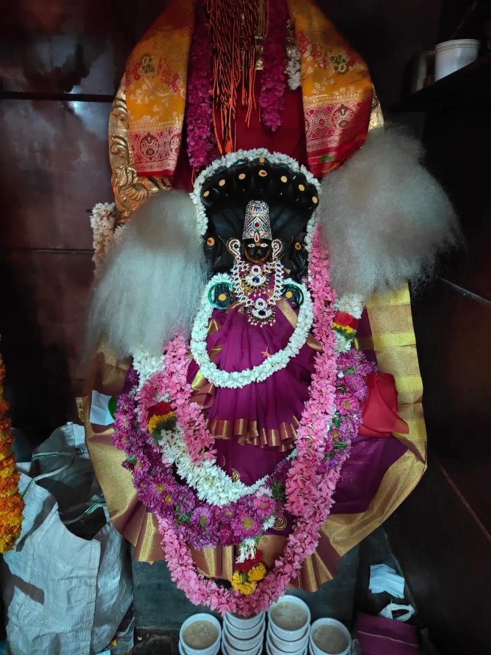 Naga Devi PujaUtsav Kriya Image