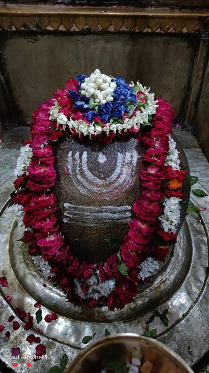 Jal AbhishekUtsav Kriya Image