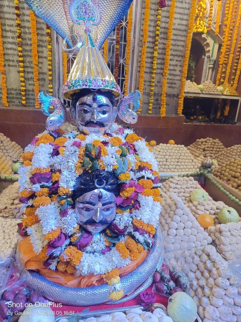Maha Rudra AbhishekUtsav Kriya Image
