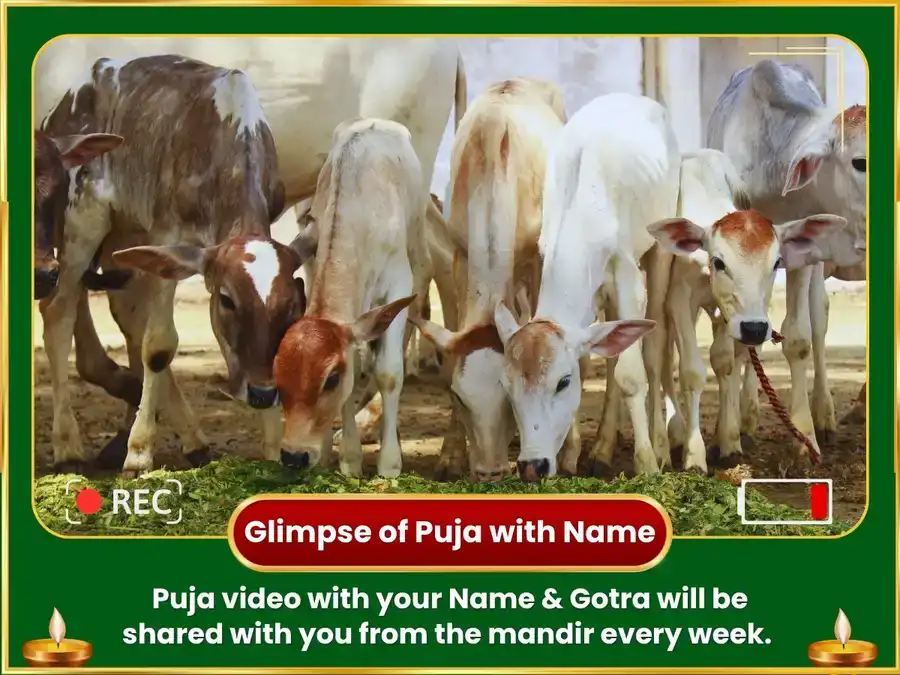 Akshay Tritiya Vishesh Tri Pashu Gupt Daan Seva puja gallery 2