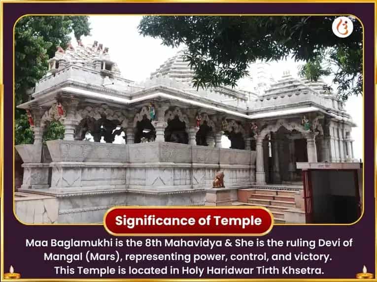 Baglamukhi Jayanti Special 51,000 Baglamukhi Beej Mantra Jaap & 100 Nimbu-Mirchi Maha Ahuti Havan puja gallery 4